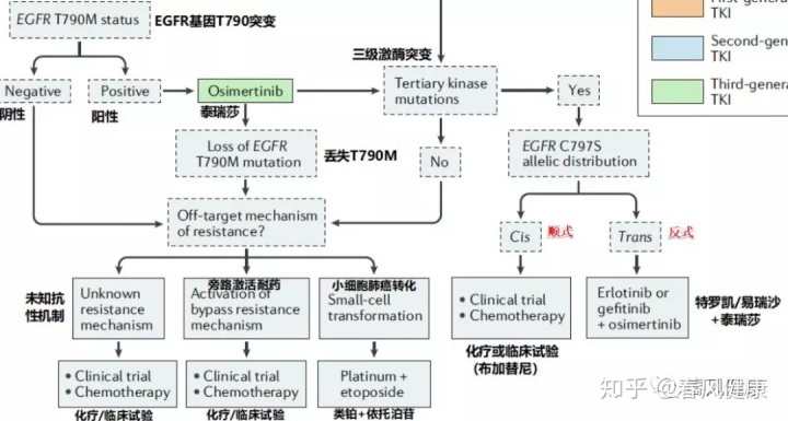 肺腺癌吉非替尼耐药再化疗_化疗耐药定义_鳞癌 腺癌化疗