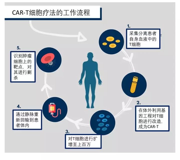 靶向药为什么会耐药_肺癌靶向药耐药怎么办_索拉非尼耐药后用什么靶向药