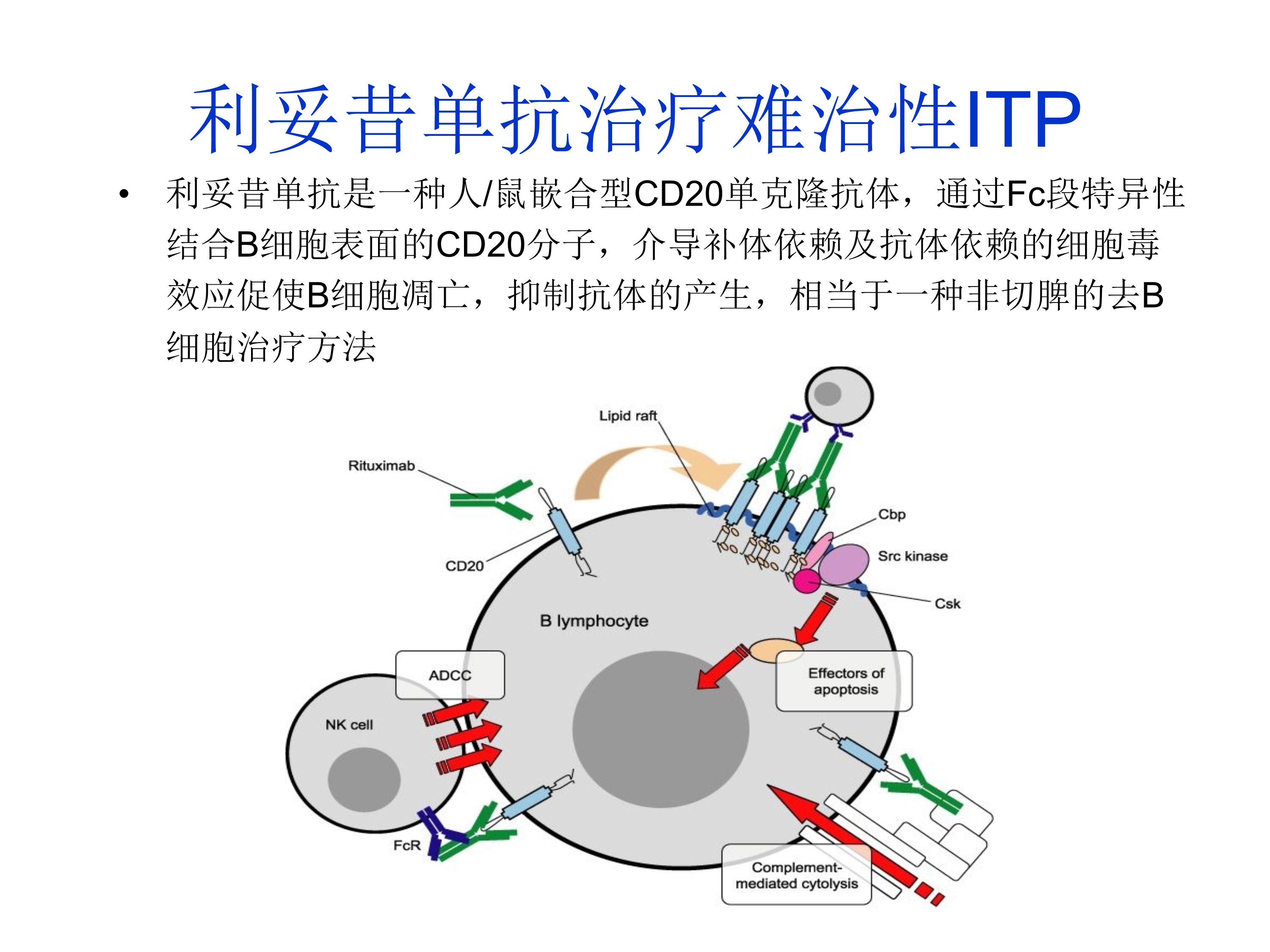 贝伐珠单抗注射液_西妥昔单抗跟贝伐珠单抗区别_结肠癌晚期 贝伐珠单抗