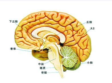 azd9291奥希替尼_2片奥希替尼_奥希替尼都有哪里产的