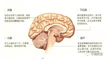 奥希替尼都有哪里产的_azd9291奥希替尼_2片奥希替尼