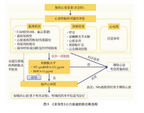 尼拉帕尼+贝伐珠口服胶囊()单抗治疗