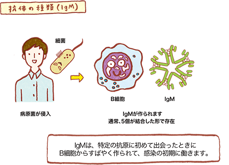 化疗和靶向药物的进步使mCRC患者OS提高到40个月