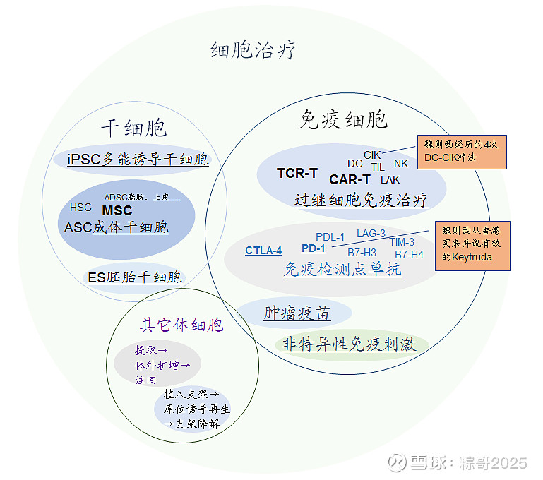 贝伐珠单抗可以报销吗_免疫联合贝伐单抗肺癌_贝伐单抗的抗肺癌效果