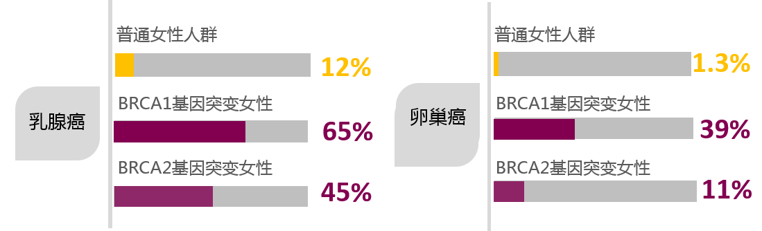 抗癌路上不孤单～2019年姚晨主演的电影《送我上青云》