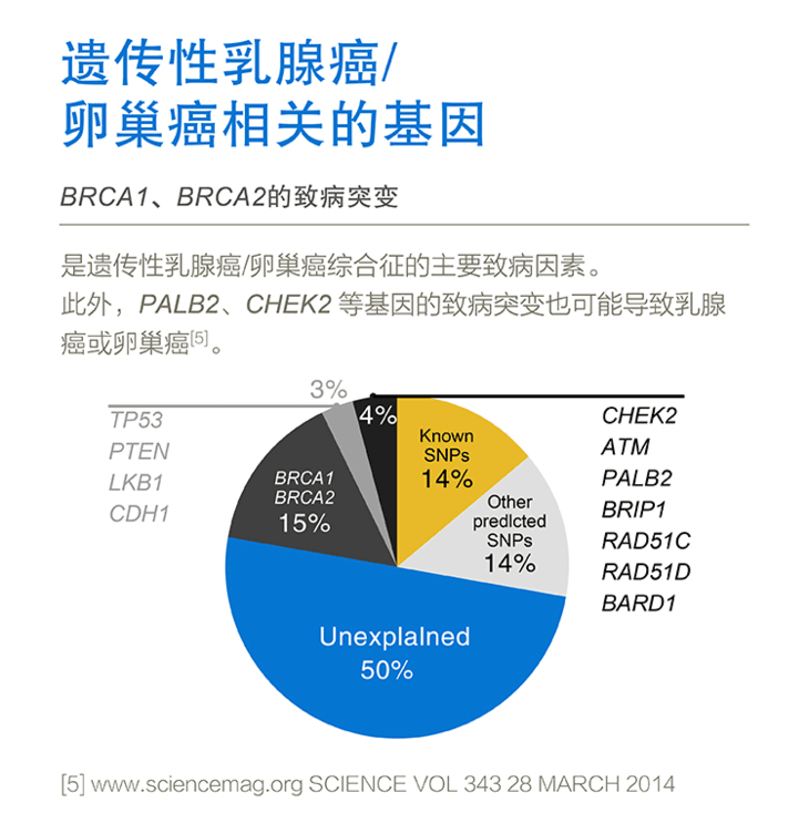 贝伐珠单抗4个月后赠药_贝伐珠单抗能治疗卵巢癌吗_贝伐单抗对什么癌好