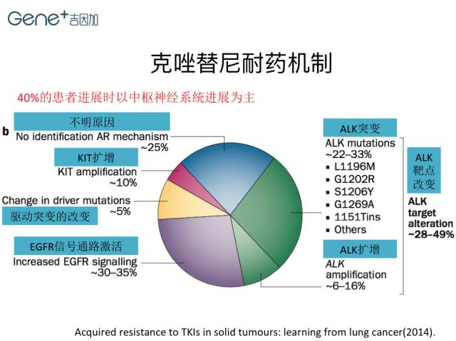 去哪买印度版奥希替尼_中国版奥希替尼_奥希替尼吃了激素