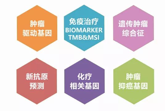 肺癌最晚期奥希替尼还有用吗_奥斯替尼和奥希替尼_肺癌晚期用生物免疫治疗有用吗