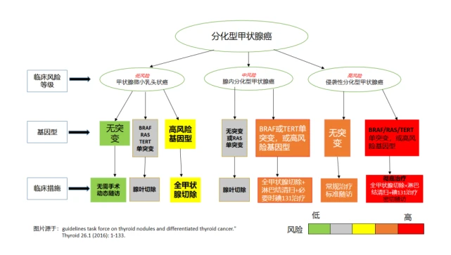 肝癌晚期吃索拉非尼_肝细胞癌吃索拉非尼_什么是肝透明细胞癌