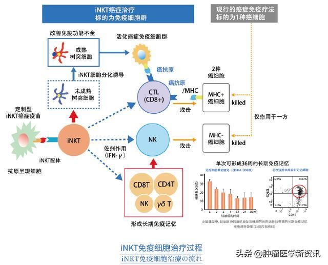 本期分享2例晚期结肠癌三线及后线治疗病例（附病例点评）