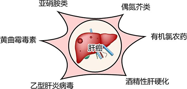 索拉非尼价格_索拉非尼片_索拉非尼腹泻的治疗