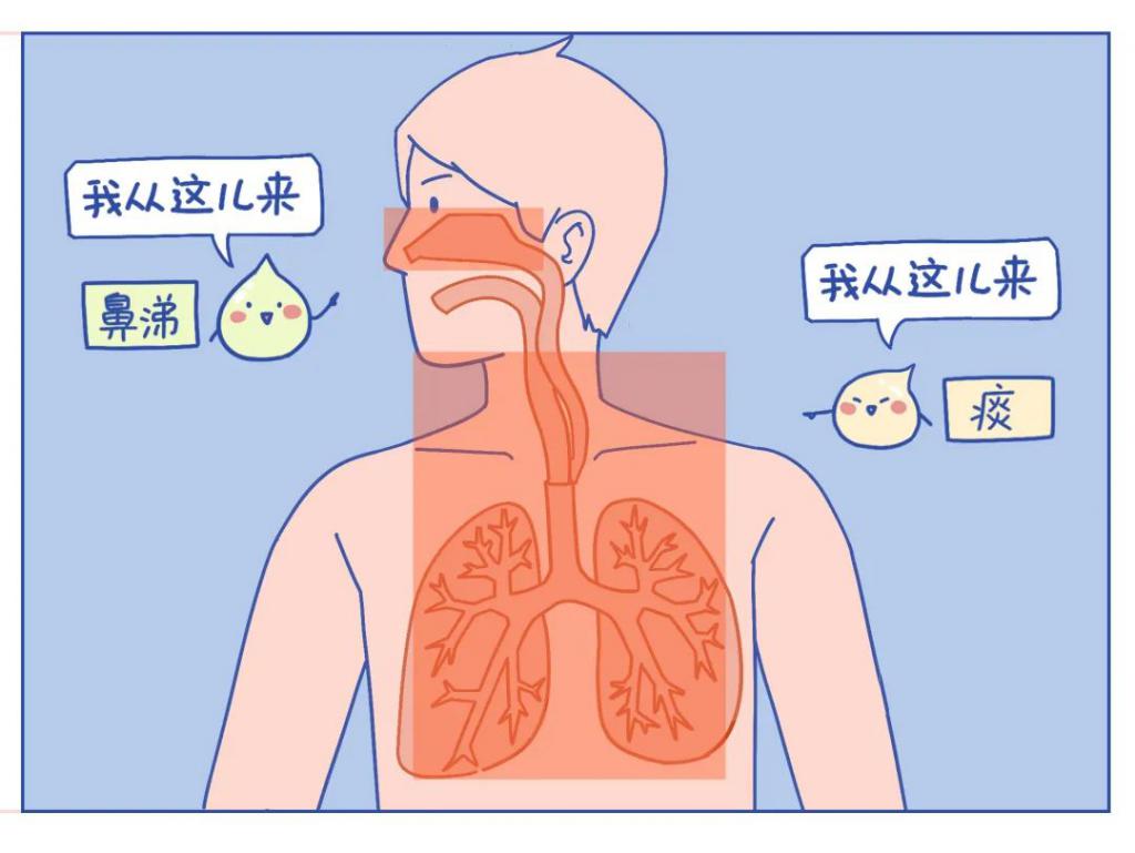 没碰鼻子突然流血_吃吉非替尼鼻子流血_鼻子流血冻鼻子