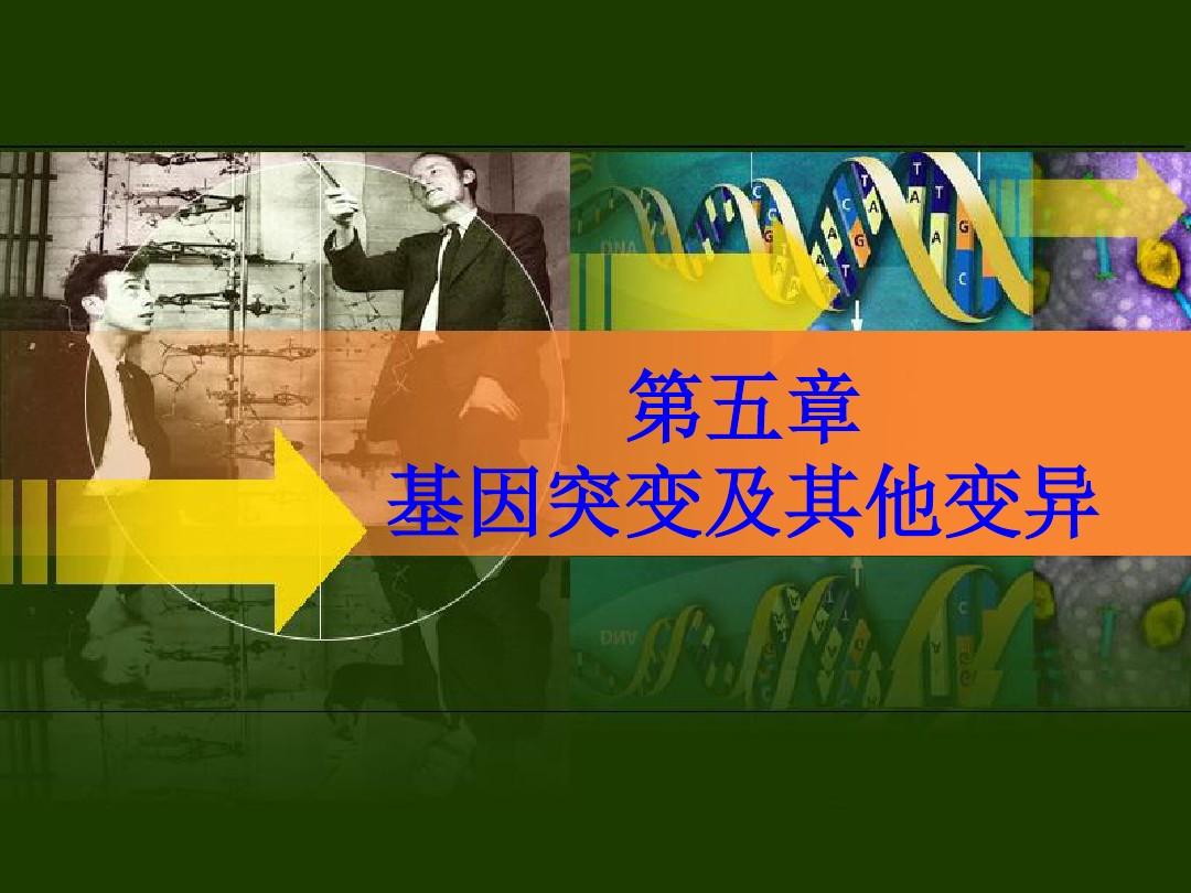 奥希替尼是啥药_奥希替尼印度版白盒_中国版奥希替尼
