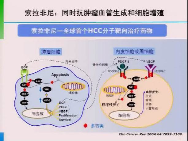 吃螃蟹过敏 全身痒 怎么办_吃芒果全身过敏怎么办_吃索拉非尼会引起全身过敏吗