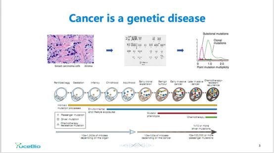 胆管细胞型肝癌_胆管细胞癌 日本_索拉非尼靶胆管细胞癌