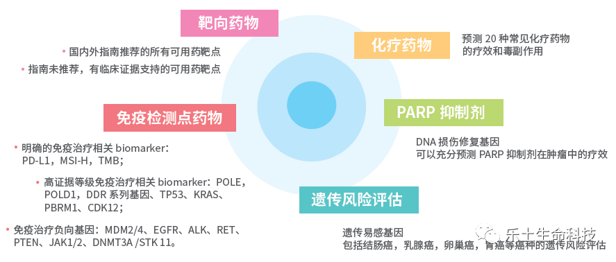 病情进展用英语怎么说_寇绍恩牧师病情进展_吉非替尼会引起病情进展吗