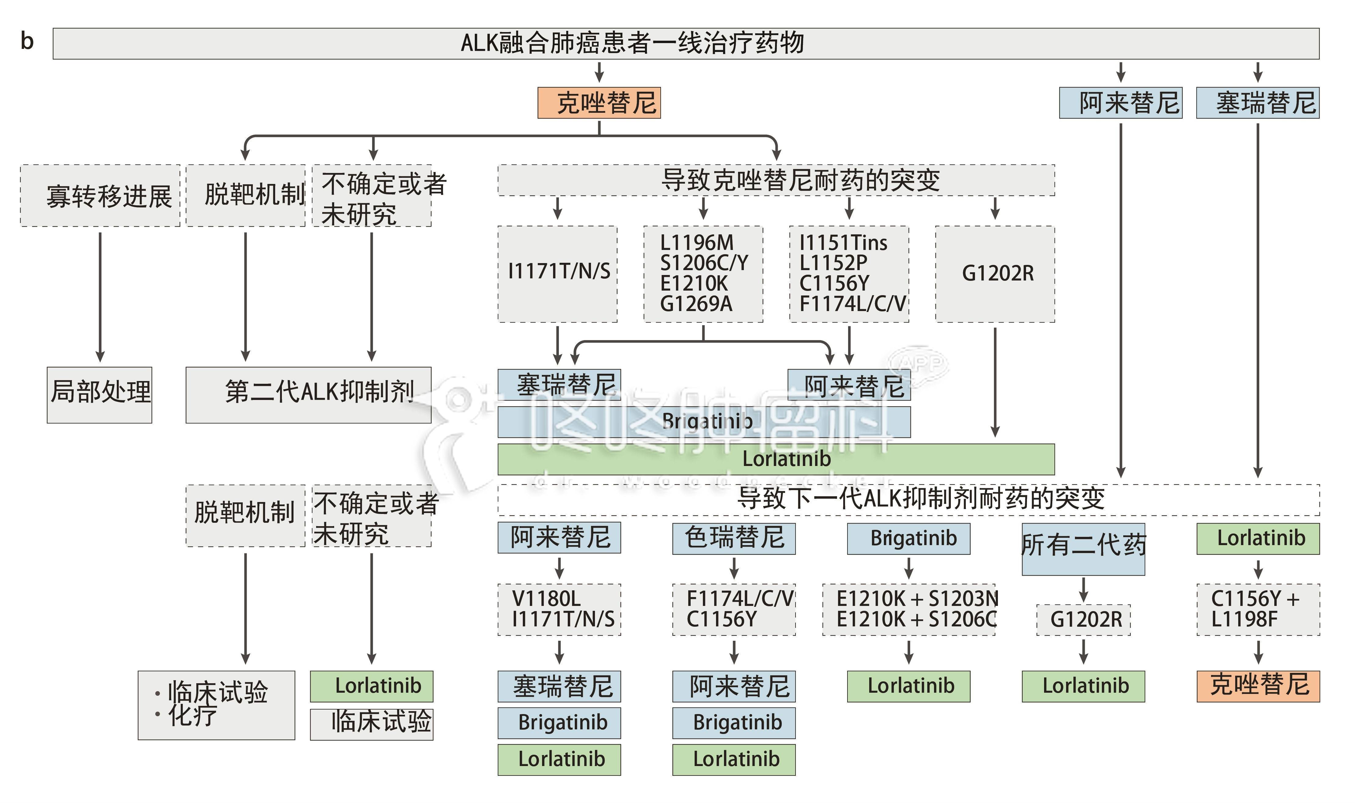 寇绍恩牧师病情进展_吉非替尼会引起病情进展吗_病情进展用英语怎么说