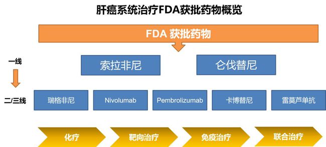 晚期肝癌一线治疗10年来都没有尼单抗