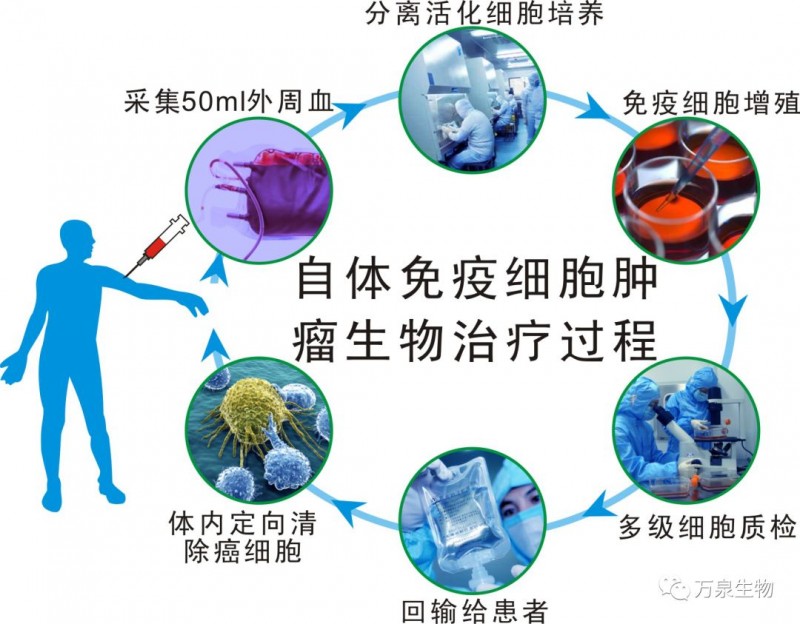 贝伐珠单抗t药_贝伐单抗和贝伐珠单抗_贝伐珠单抗不良反应