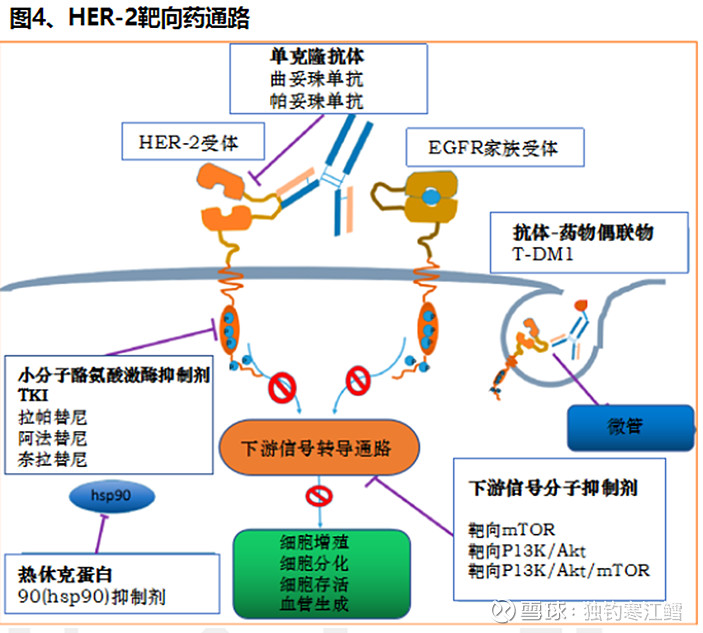 贝伐珠单抗靶向药有几种_贝伐单抗联合靶向药_贝伐珠单抗注射液