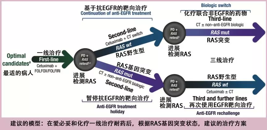 奥希替EGFR敏感突变和EGFR耐药突变的疗效斐然