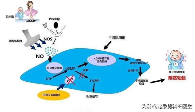 肺癌新药贝伐单抗_贝伐单抗仿制_贝伐珠单抗价格