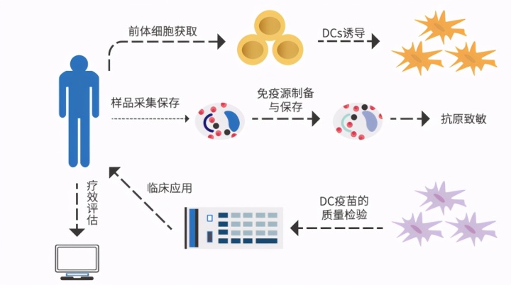 国产贝伐珠单抗一个月需要几支_贝伐珠单抗治疗肺腺癌_贝伐珠单抗说明书