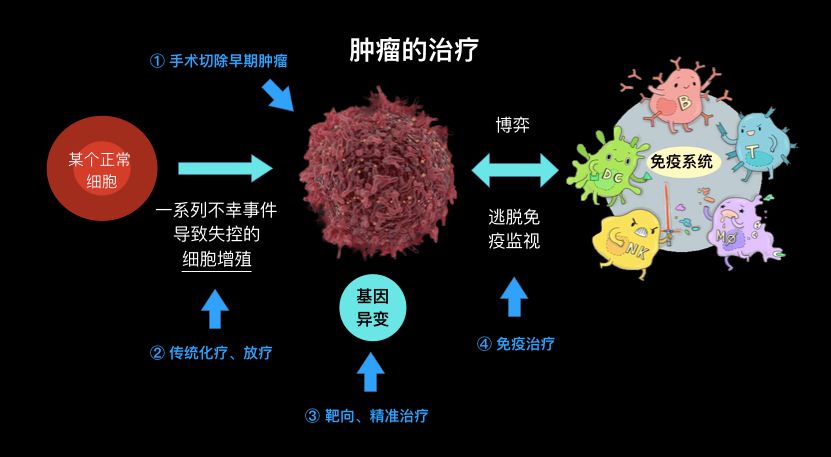 贝伐珠单抗不良反应_贝伐珠单抗的副作用_贝伐珠单抗和爱必妥副作用大吗