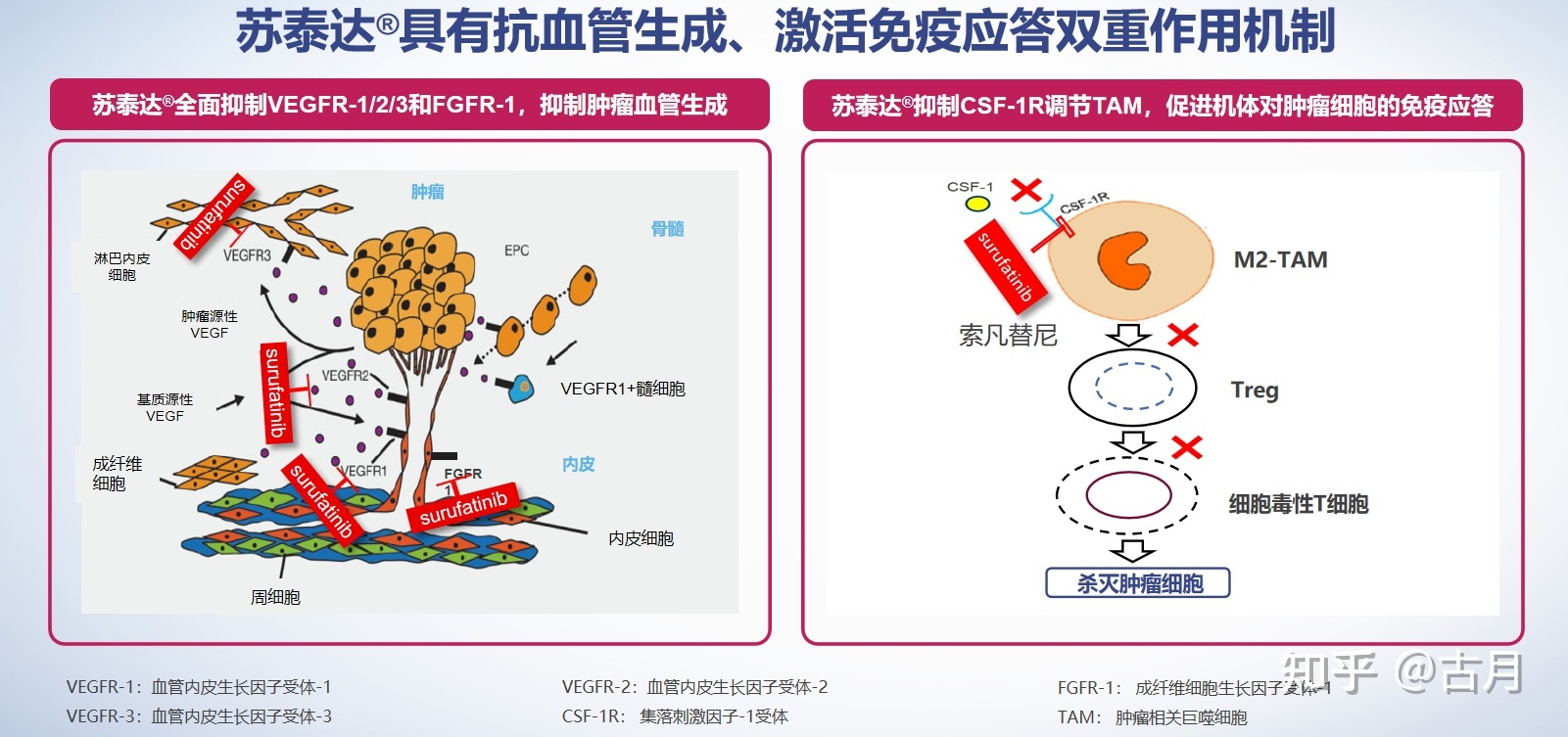 贝伐单抗耐药性_贝伐珠单抗是化疗药吗_贝伐单抗肝功能感染