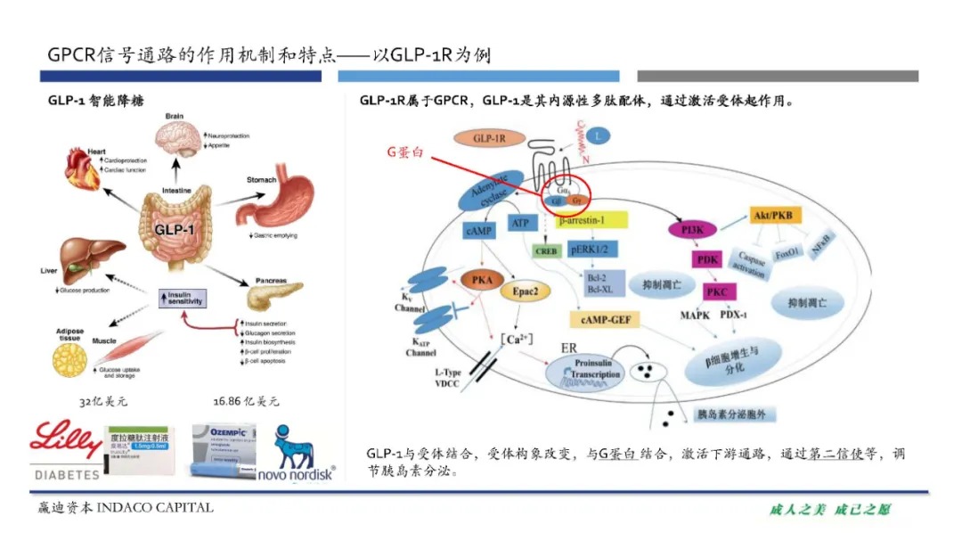 贝伐珠单抗多少钱一支_贝伐珠单抗是化疗吗_贝伐单抗有胶囊么