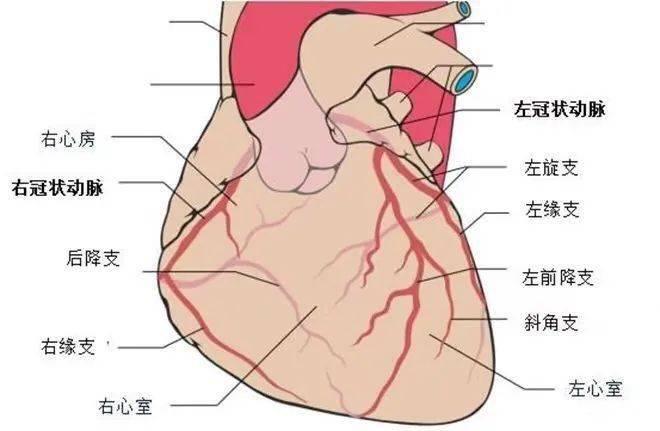 冠心病患者要注意的是——空调房是理想的避暑之地