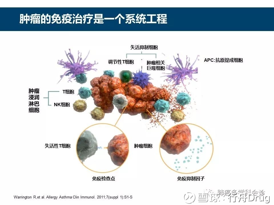 贝伐珠单抗4个月后赠药_贝伐单抗卵巢癌好大夫_贝伐珠单抗不良反应