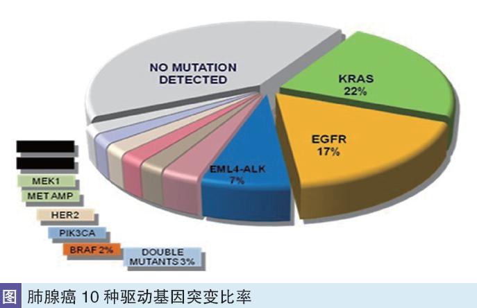 EGFR耐药基因检测结果仍为19del伴MET扩增治愈癌症不是梦