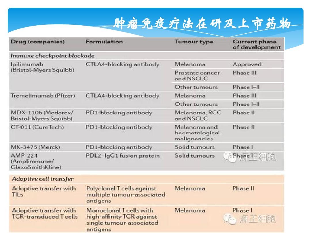 协和神经肿瘤周刊神外前沿前沿-协和前沿前沿神外