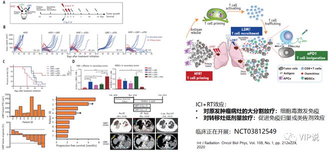 贝伐珠单抗是全名_贝伐珠单抗4个月后赠药_贝伐珠单抗靶向是啥