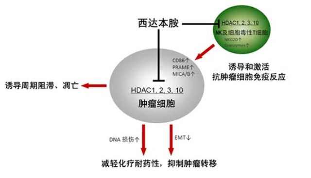 贝伐珠单抗是特药吗_贝伐珠单抗不良反应_贝伐珠单抗说明书