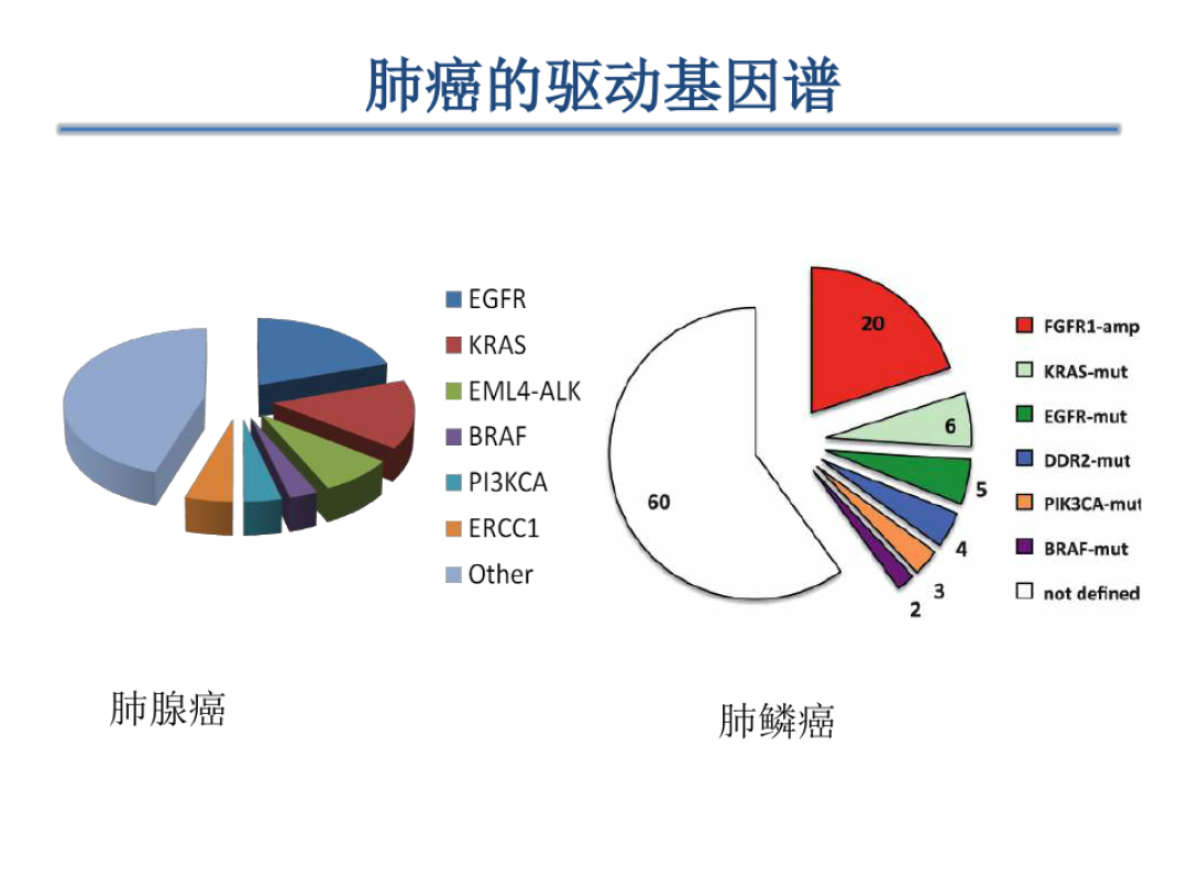 贝伐珠单抗注射液_贝伐珠单抗多少钱一支_贝伐单抗可以用于小细胞肺癌