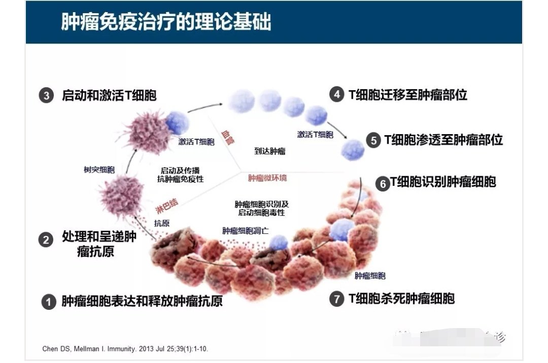 PD-1的非小细胞肺癌的一线治疗方法！