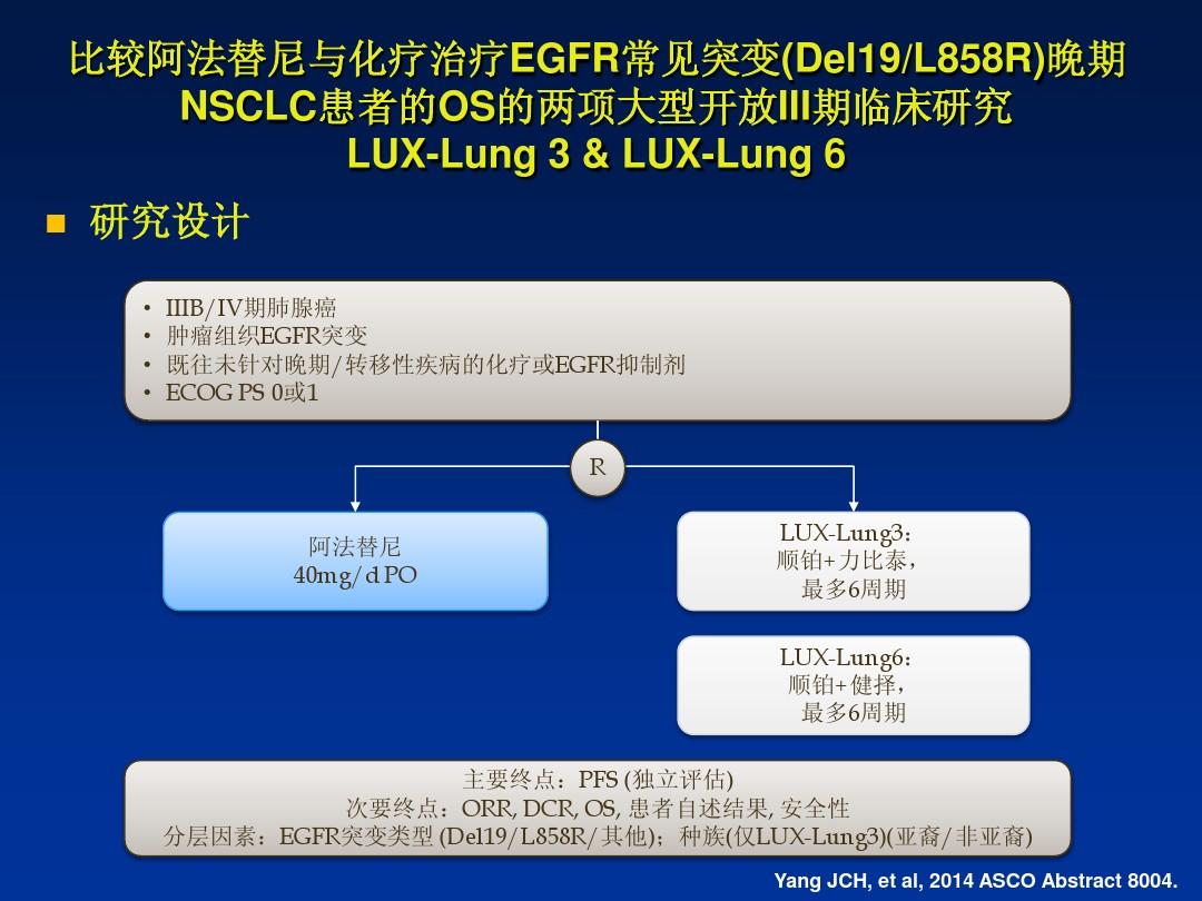 肾癌晚期肾癌靶向药物的临床应用治疗指南