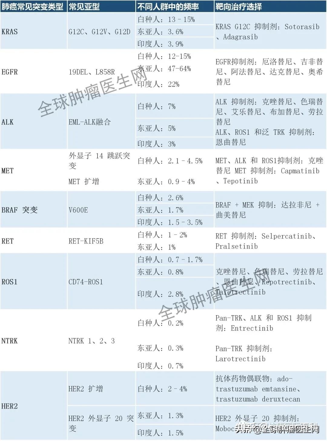 西妥昔单抗贝伐单抗_贝伐珠单抗_贝伐单抗配合易瑞沙