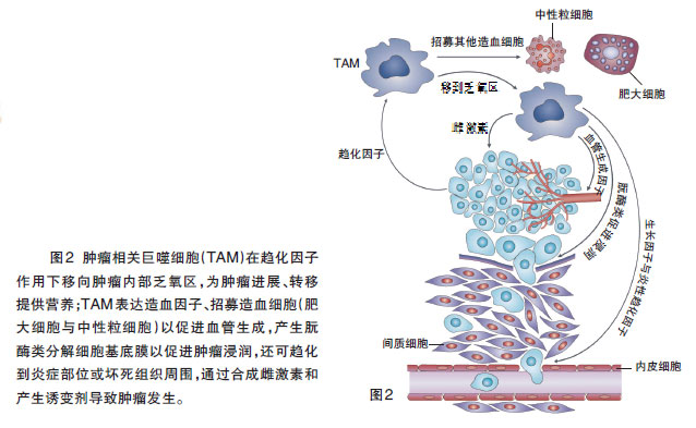 索拉非尼美国_索拉非尼要做基因检测么_索拉非尼抑制靶点