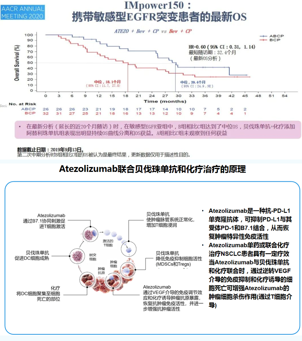 贝伐珠单抗治肺腺癌有效吗_贝伐珠单抗是靶向药吗_贝伐珠单抗是化疗吗