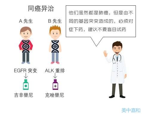 肺癌晚期吃靶向药_肺癌晚期吃吉非替尼皮肤红疹_肺癌晚期脑转移骨转移 服务埃克替尼 能活多久