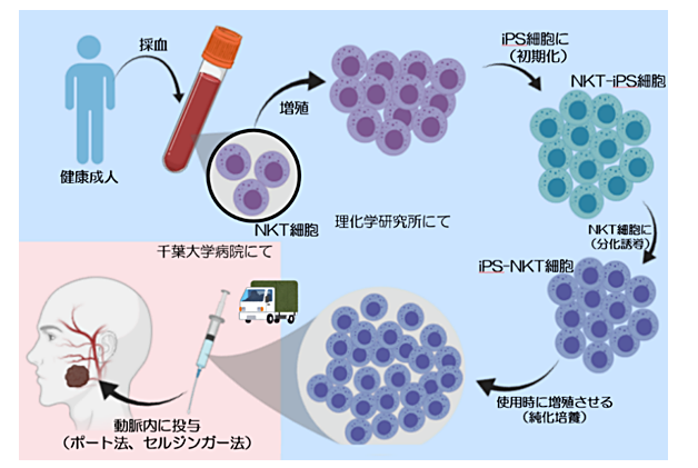 信达生物获得印度尼西亚三阴性乳腺癌晚期非小细胞肺癌治疗