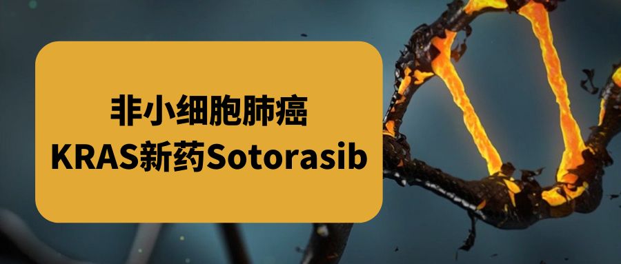 吉非替尼算靶向药吗_曲美替尼靶向药多少钱_靶向药安罗替尼