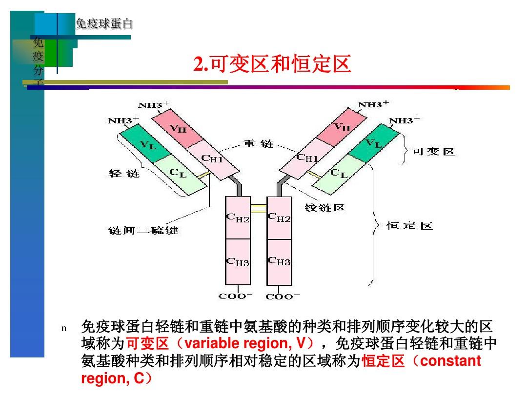 贝伐单抗多久产生作用 OSC编辑部观察系列直播|OSC《神秘的大厂开源办公室》