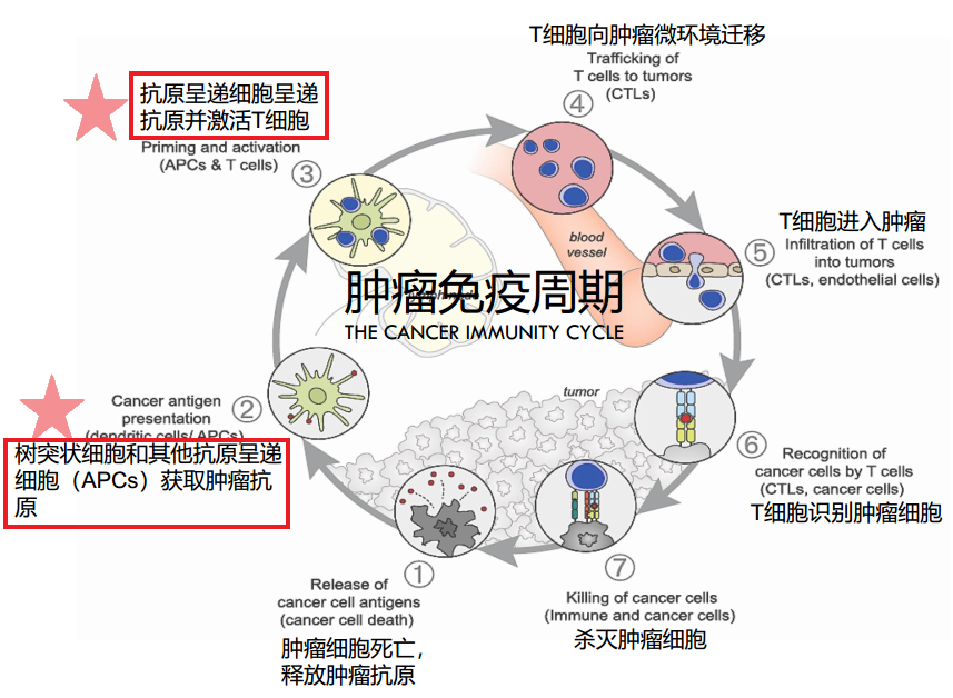 贝伐单抗用做基因检查_贝伐单抗和贝伐珠单抗_贝伐珠单抗不良反应