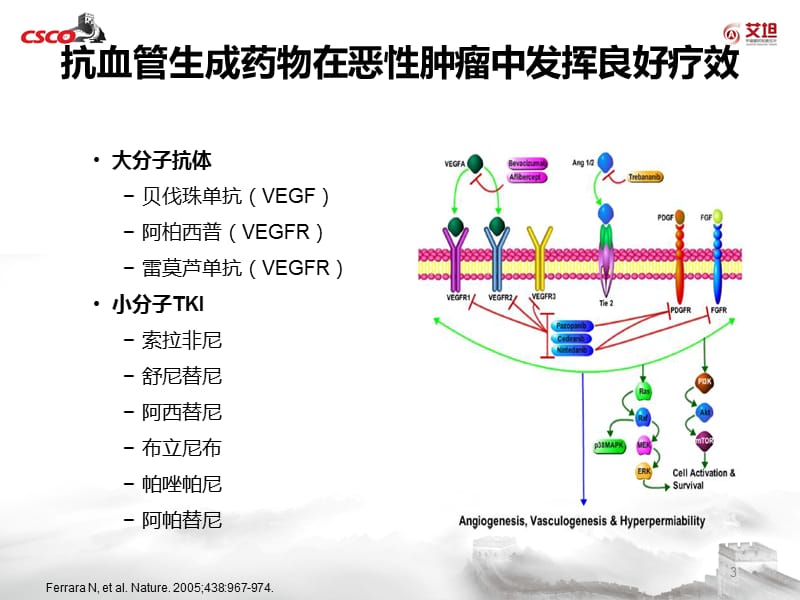 罗氏制药：抗血管生成药物的抗肿瘤作用机制有哪些？