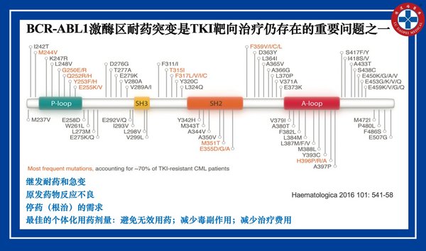 奥希替尼耐药后EGFR突变丢失，再挑战1代药疗效佳这是