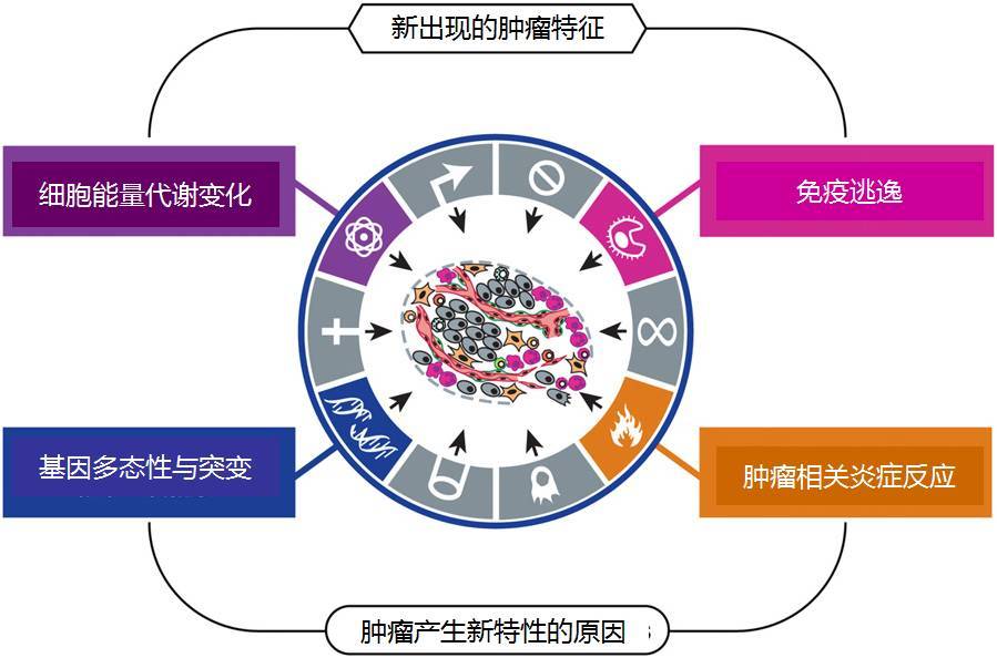 索拉非尼远期_吃索拉非尼肿瘤变小_索拉非尼美国